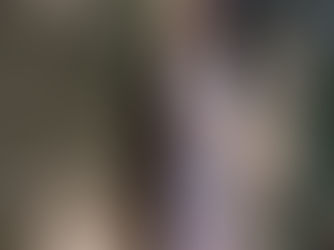 たけのこほり 2026