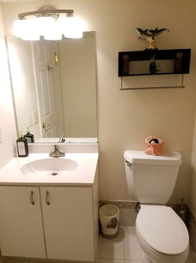 Hallway bathroom with shower stall.jpeg