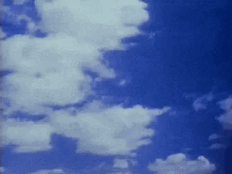 IMG_5300 (1).GIF