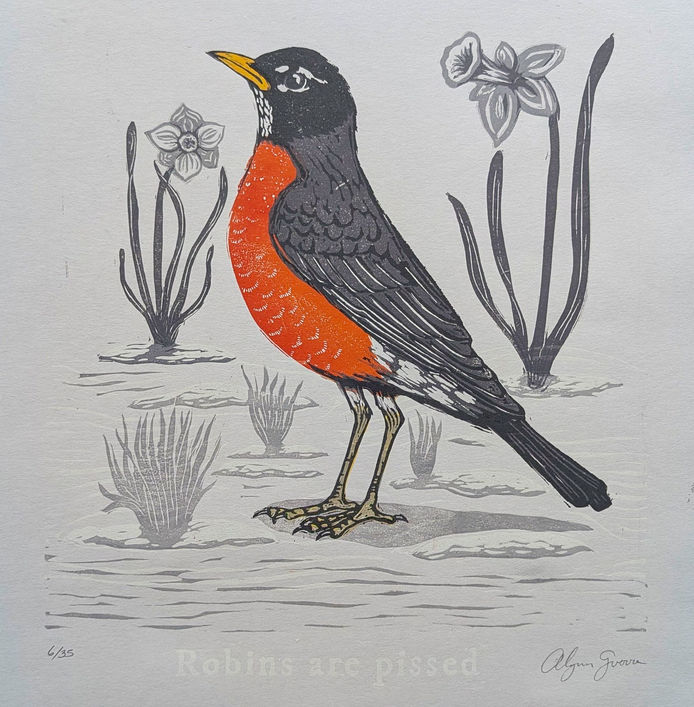 Robin bird and snow