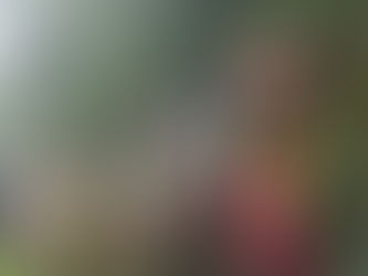 Understanding Amhara Rights in Ethiopia: A Community Perspective