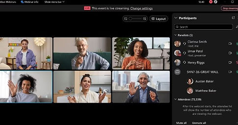IT Dynamics Cisco Webex Webinar.jpg