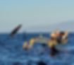 20241224_075627.jpeg