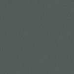 F2305 TITANIUM DARK SMA.jpg