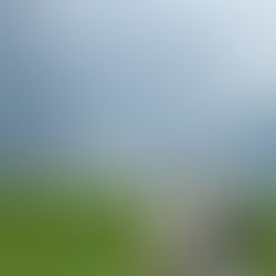 Mevlânâ Dîvânı- 344. Göklerin yolu senin içindedir. Aşk kanadını çırp da uçmaya bak!