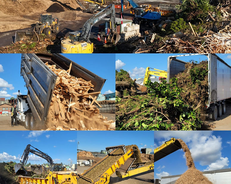 Gallery of photos showing our wood waste recycling process