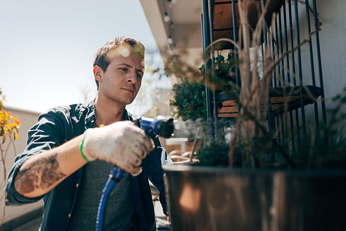 Urban Gardening