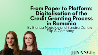 From Paper to Platform: Digitalisation of the Credit Granting Process in Romania