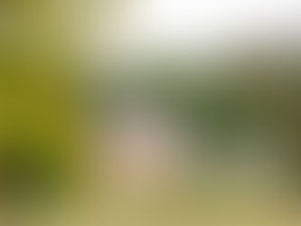 Un voyage en France 2026 - Tag 2: Haras des Baisses, Haras de Belfaidus, Haras de la Pilliere