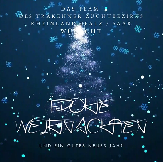 Frohe Weihnachten