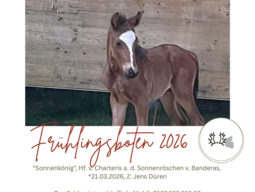 Sonnenkönig Frühlingsboten Charteris Jens Düren