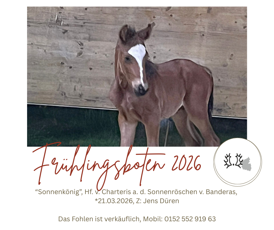 Sonnenkönig Frühlingsboten Charteris Jens Düren