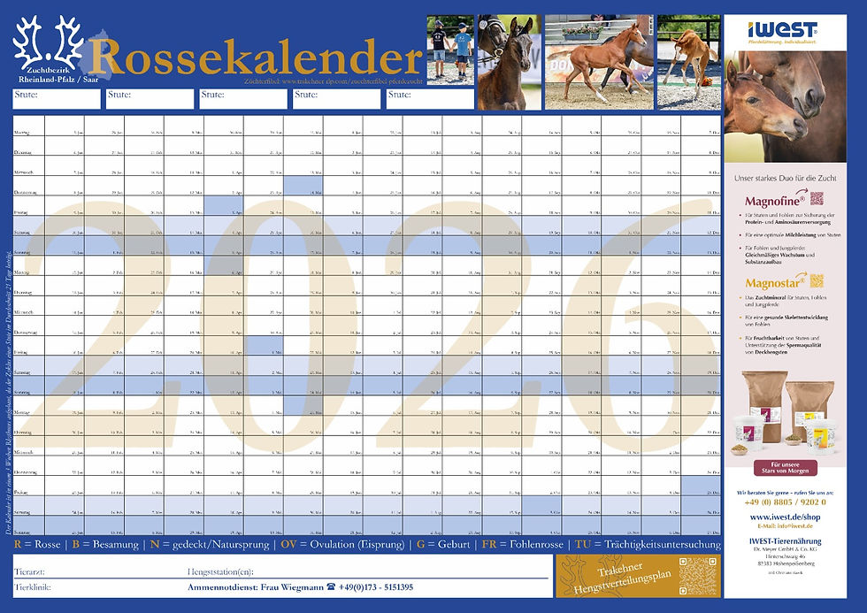 Der Rossekalender 2026 - papiergebunden, aber auch zum Download erhältlich