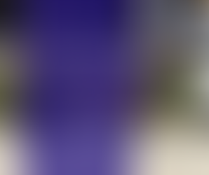 Zentrale Stuteneintragung 2026 - Nennungsschluss 02.04.2026