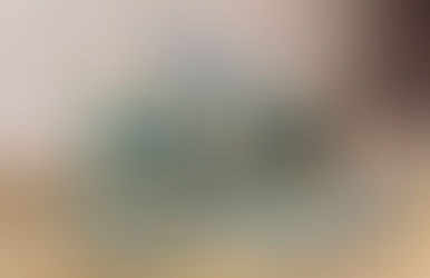 Die Stallplakette 2025 ist da - für Fohlen mit 54 Punkten und mehr