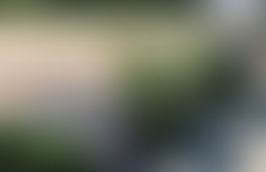 Stallplätze rund um Vollversorgung Hunsrück Rheinland-Pfalz