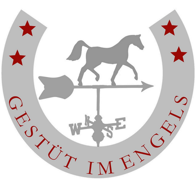Profi in der Vielseitigkeit