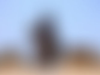 Lehrgangsimpressionen - Remis v. Insterburg