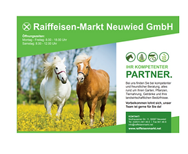 Screenshot (212).png