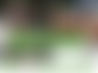 Fohlenmusterungstermin Nr. 6: Gestüt Welvert, Veranstaltung Pferd & Mensch am 30.08.2025 um 16.30 Uhr