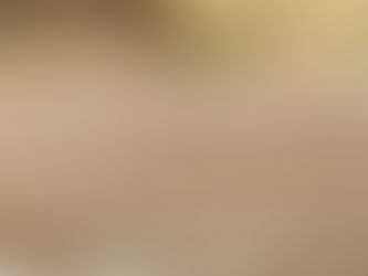 Impressionen / Bericht Fohlenmusterungstermin Nr. 4 vom 14.08.2022, Delmeshof, 66909 Quirnbach