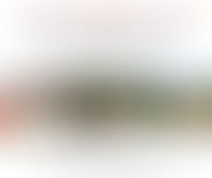 Anmeldeschluss ist der 01.03.2025 - an alle Züchter und Besitzer - nennen Sie Ihre verkäuflichen Pferde beim Pferdeverkaufstag am Sonntag, den 06.04.2025 in Bingen - offen für alle Rassen -