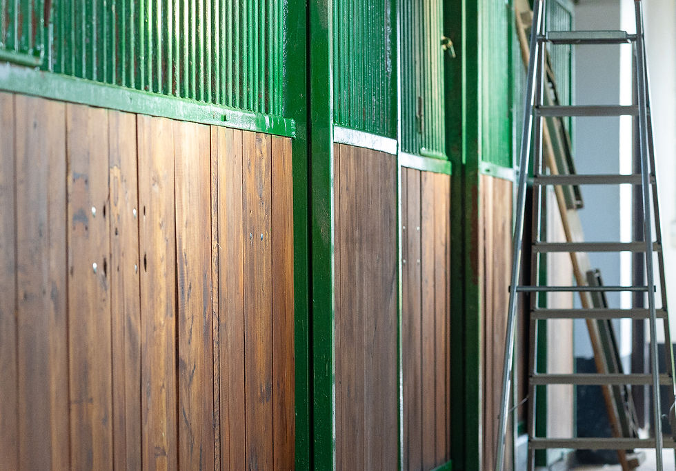 Stallrenovierung Desinfektion