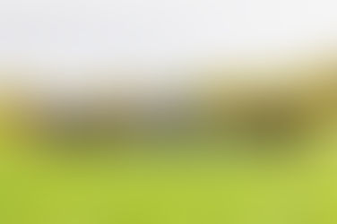 Die Bilder der Sichtungsinitative Süd / Vielseitigkeit vom 25.10.2025 mit Andreas Ostholt in Altenstadt sind online