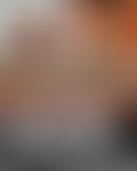 Kamingespräch 13.03.2026 im Landgestüt Zweibrücken, Thema: "Das Landgestüt Zweibrücken - eine Quelle der Trakehner Leistungsgenetik" mit vorheriger Gestütsführung