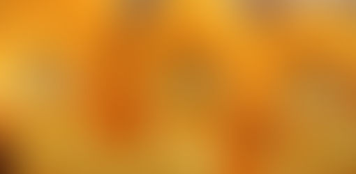 Nennen Sie Ihre Stuten für die Zentrale Stuteneintragung am 17.08.2025 - Anmeldeschluss ist der 9. April 2025