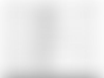 Der Zeitplan und Katalog der Besichtigungsreise (ehem. Hengstvorauswahl) für den Trakehner Hengstmarkt 2025 sind online