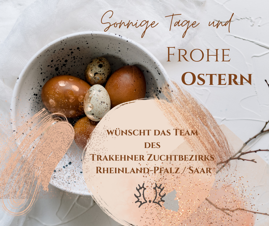 Ostern 2026 Trakehner Zuchtbezirk Rheinland-Pfalz / Saar