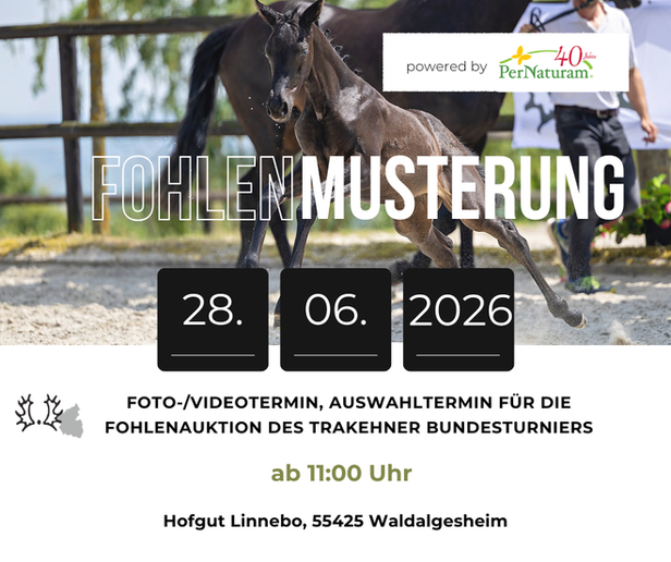 28.06.2026: Foto-/ Video- und Musterungstermin, Auswahl Fohlenauktion Trakehner Bundesturnier, Hofgut Linnebo, 55425 Waldalgesheim, 11 Uhr - powered by PerNaturam