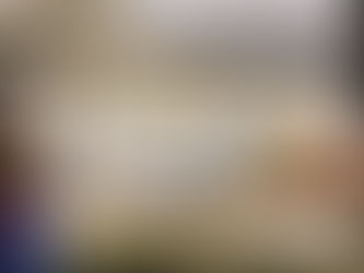 Fohlenmusterungstermine Nr. 3 und 4 am Samstag, den 26.07.2025 bei Kerstin Müller-Schwender / Walshausen sowie Nina Borger / Wadern