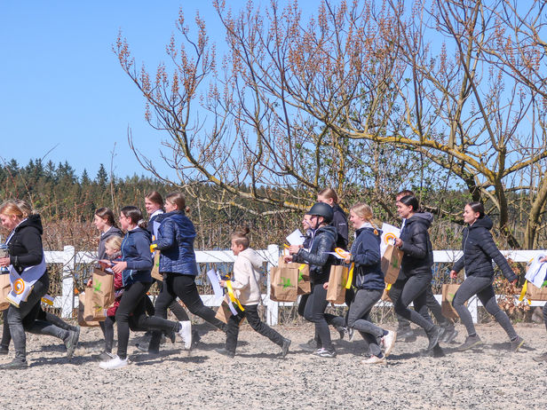 Bericht und Impressionen von den internen Trakehner Jungzüchtermeisterschaften - ihr wart KLASSE!