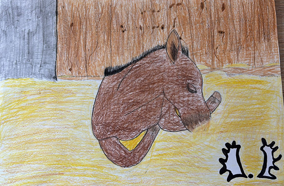 Hanna, 10 Jahre, 5. Platz