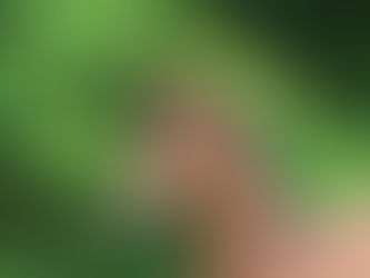 Frühlingsboten 2022: Sport meets perspektivischen Junghengst