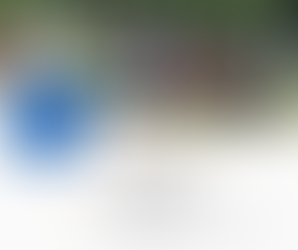 Helfer 2026 Trakehner Weekend gesucht