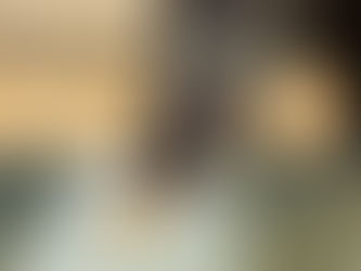 Fohlenaufzucht Hunsrück Braunshorn 