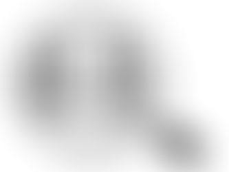 Gesuch: Braver, dressurbetonter Trakehner im Alter von 5 - 13 Jahren