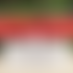 Absage - Pferdeverkaufstag in Bingen 