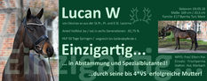 Anteil Vollblut (xx/ox) in sechs Generationen: 81,75 % Mutter bis 4*VS erfolgreich Aufgestellt im HUL Marbach Kontakt: Dr. Annette Wyrwoll Mobil: 0171 654 4550