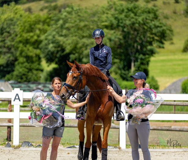 Lehrgang Dressur 2026 Kristine Moeller Engel Bell Mirbach