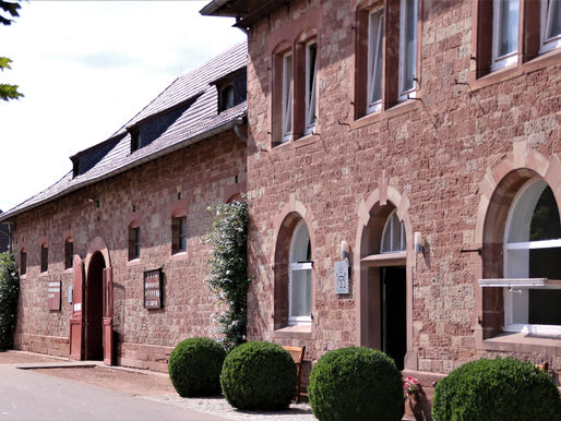 13.08.2022 - Landesreitpferdechampionat v. Rheinland-Pfalz - machen Sie mit!