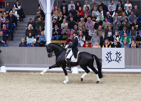 Ausblick auf 2026: St.Pr. u. Pr.St. Rajah v. Millennium ist tragend von Hallifax Lyng