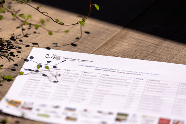 Bericht und Impressionen - Zuchtbezirkslehrgang Dressur mit Kristine Moeller-Engel auf dem Trakehnerhof Mirbach