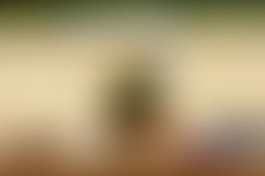 Impressionen und Kurzbericht - Musterungstermin Nr. 1 vom 17.05.2025