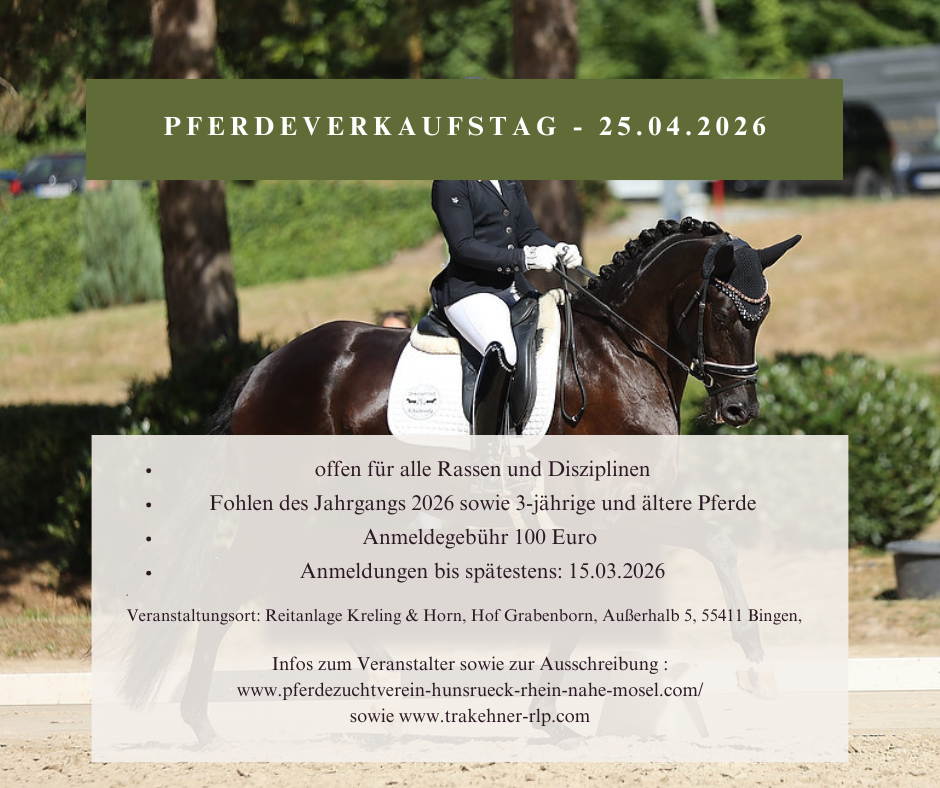 Pferdeverkaufstag am 25.04.2026 in Bingen - nennen Sie Ihre verkäuflichen Pferde (3-jährige und Ältere sowie Fohlenjahrgang 2026)