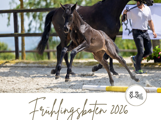 Frühlingsboten 2026 Youngster