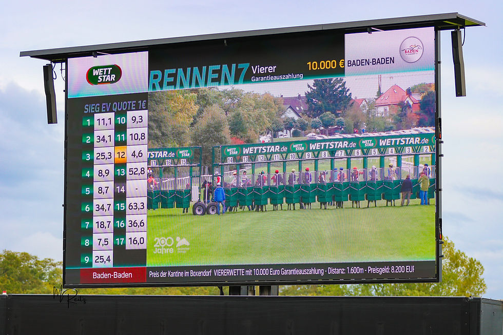 Züchterfahrt zur BBAG Auktion sowie zur Rennbahn Baden-Baden